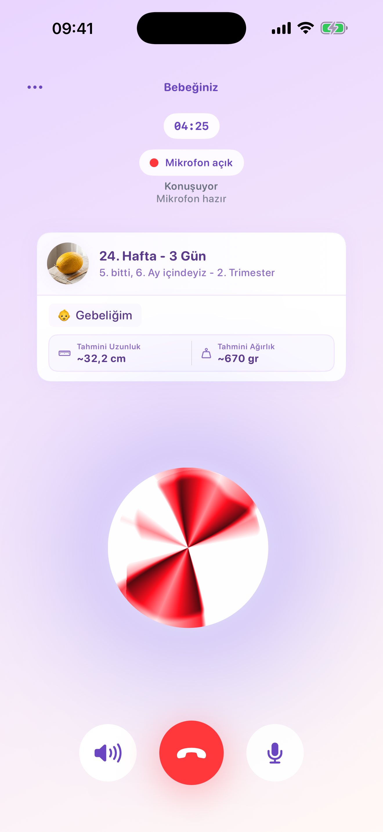 Mamalina voice conversation screen with pregnancy profile information